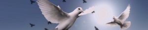 Pentecost Dove