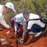 Reforestation by Franciscan Family